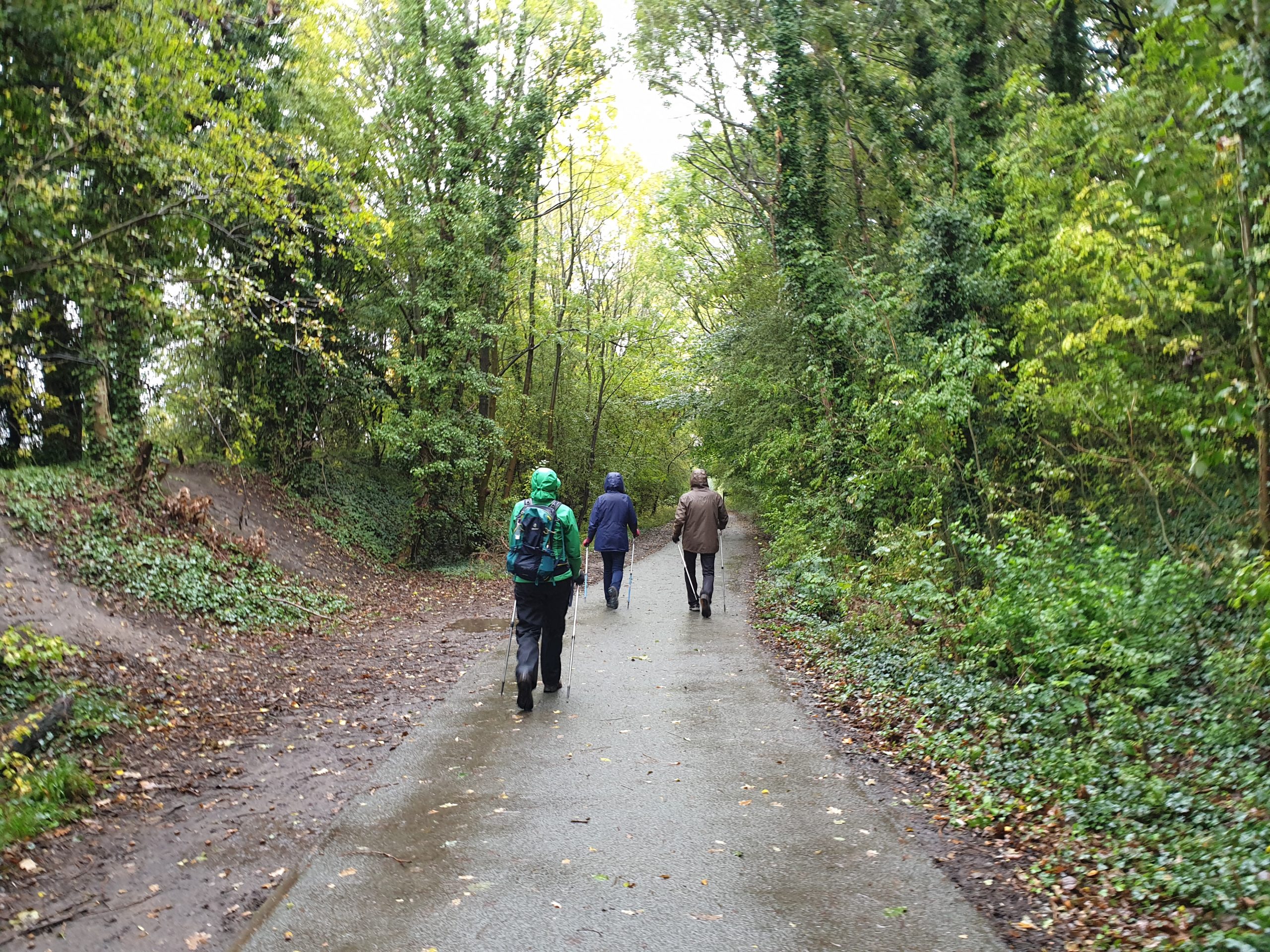 Learning to Nordic Walk