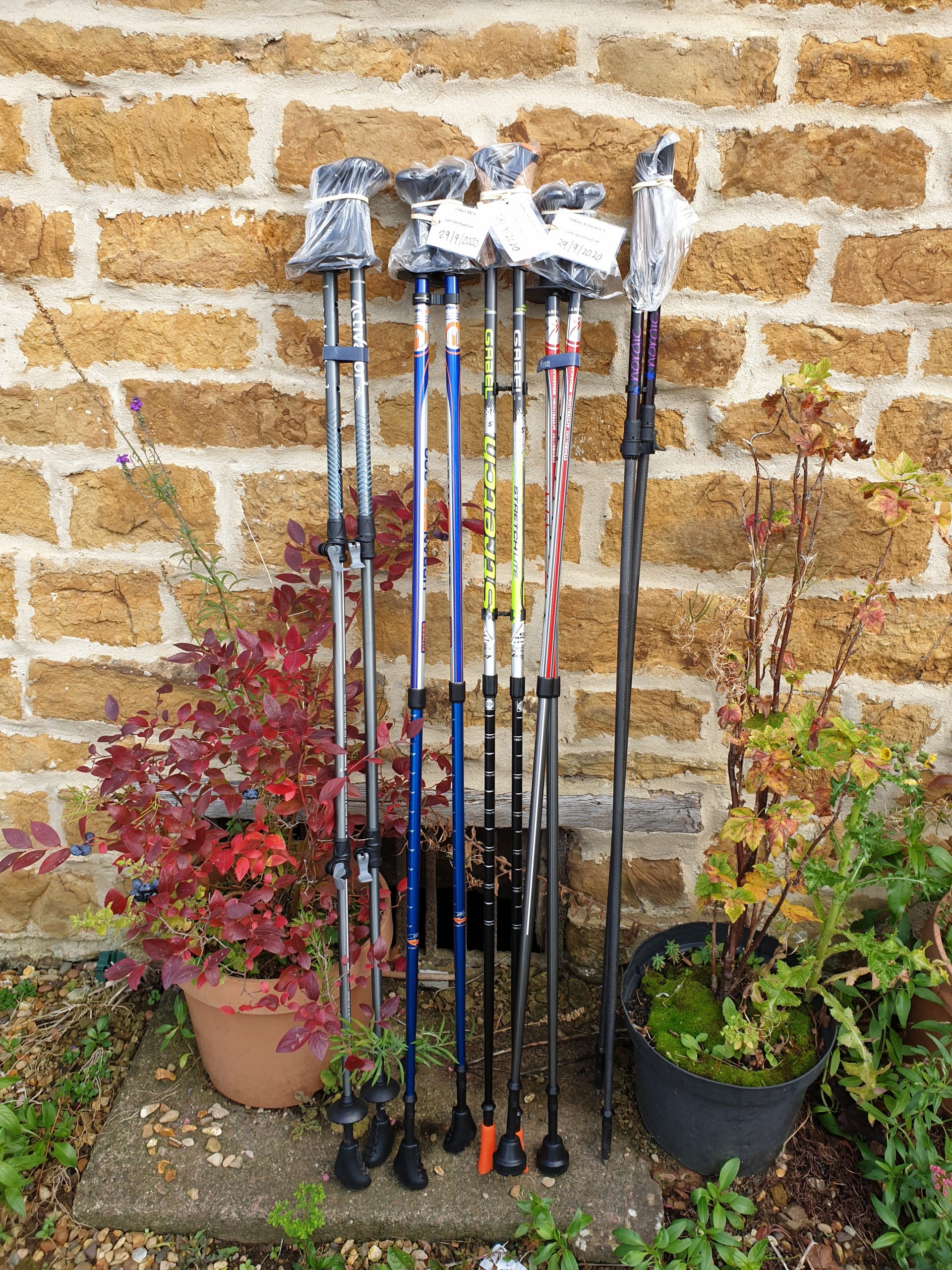 Sanitised Nordic Walking Poles