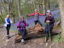 Dalesway Nordic Walking in the Bluebells