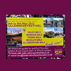 Festival poster