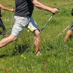 Power of Poles  Learn to Nordic walk