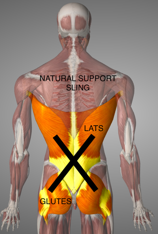 Why start Nordic Walking?