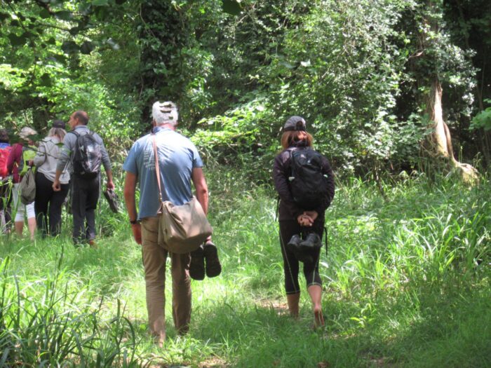 WALX team up with Nature and Therapy
