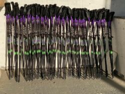 total body walking poles 