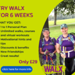 WALX 6 Week TBW Plan